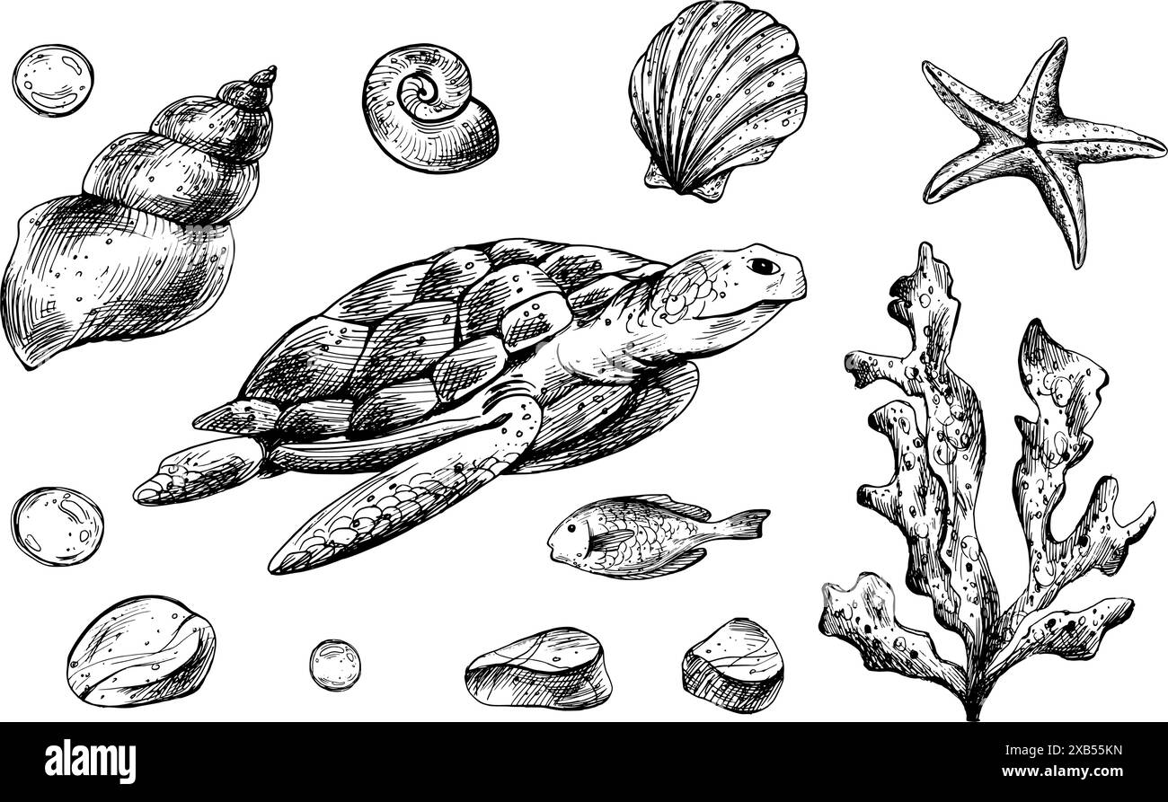 Schildkröte, Muscheln, Seesterne, Fische, Blasen, Kieselsteine und andere Meerestiere und -Pflanzen. Grafische Abbildung, handgezeichnet mit schwarzer Tinte. Gruppe von isolierten Stock Vektor