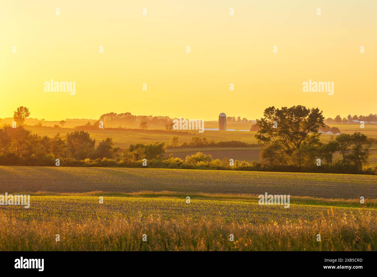 Bauernhof und Felder und Bäume bei Sonnenuntergang im Nordosten von Iowa im späten Frühling Stockfoto
