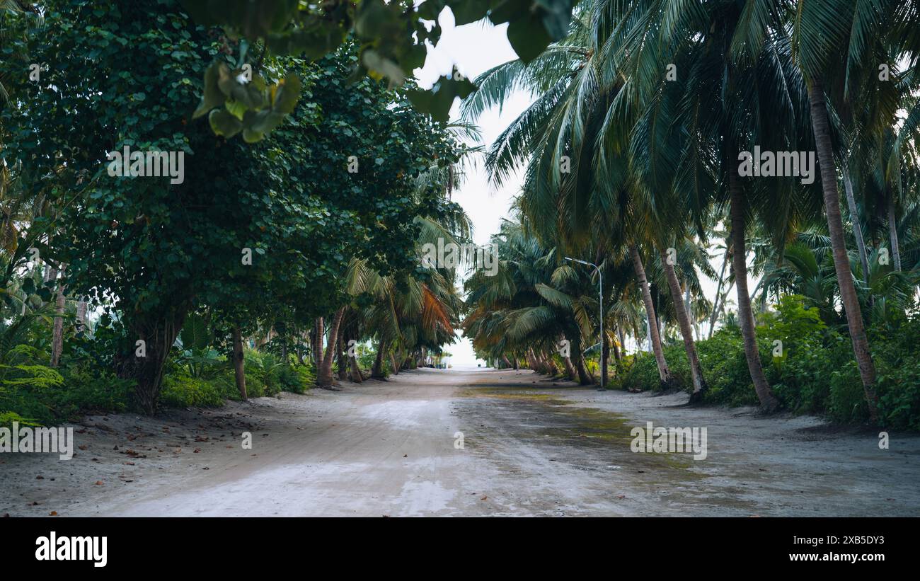 Tropische Schotterstraße umgeben von üppigen grünen Palmen und dichtem Laub, die zum Strand auf den Malediven führt, Thoddoo Island. Die Bilderfassung Stockfoto