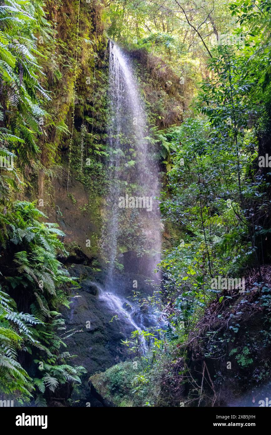 Energía del Agua Stockfoto