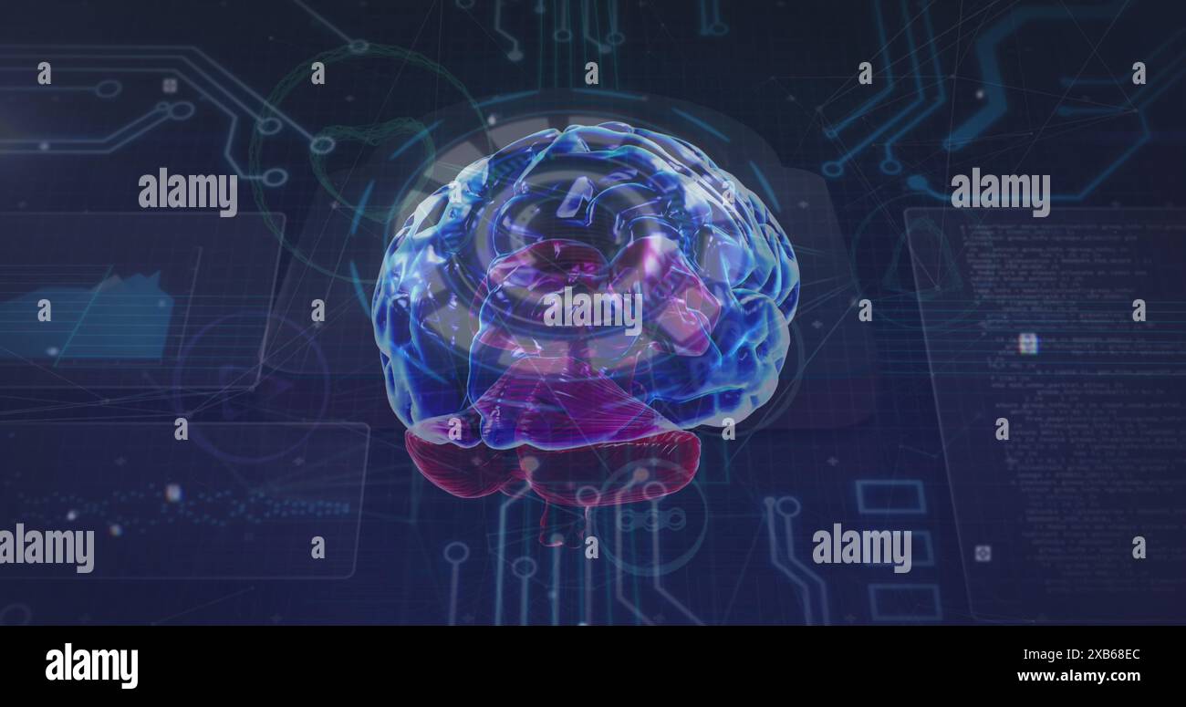 Ein digitales Rendering des menschlichen Gehirns mit lebendigen Farben und komplexen Details Stockfoto