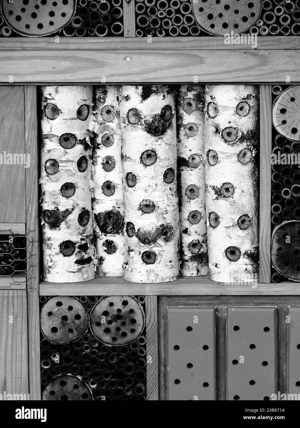 Black and White Study of Insect Hotel, Reading, Berkshire, England, Großbritannien, GB Stockfoto