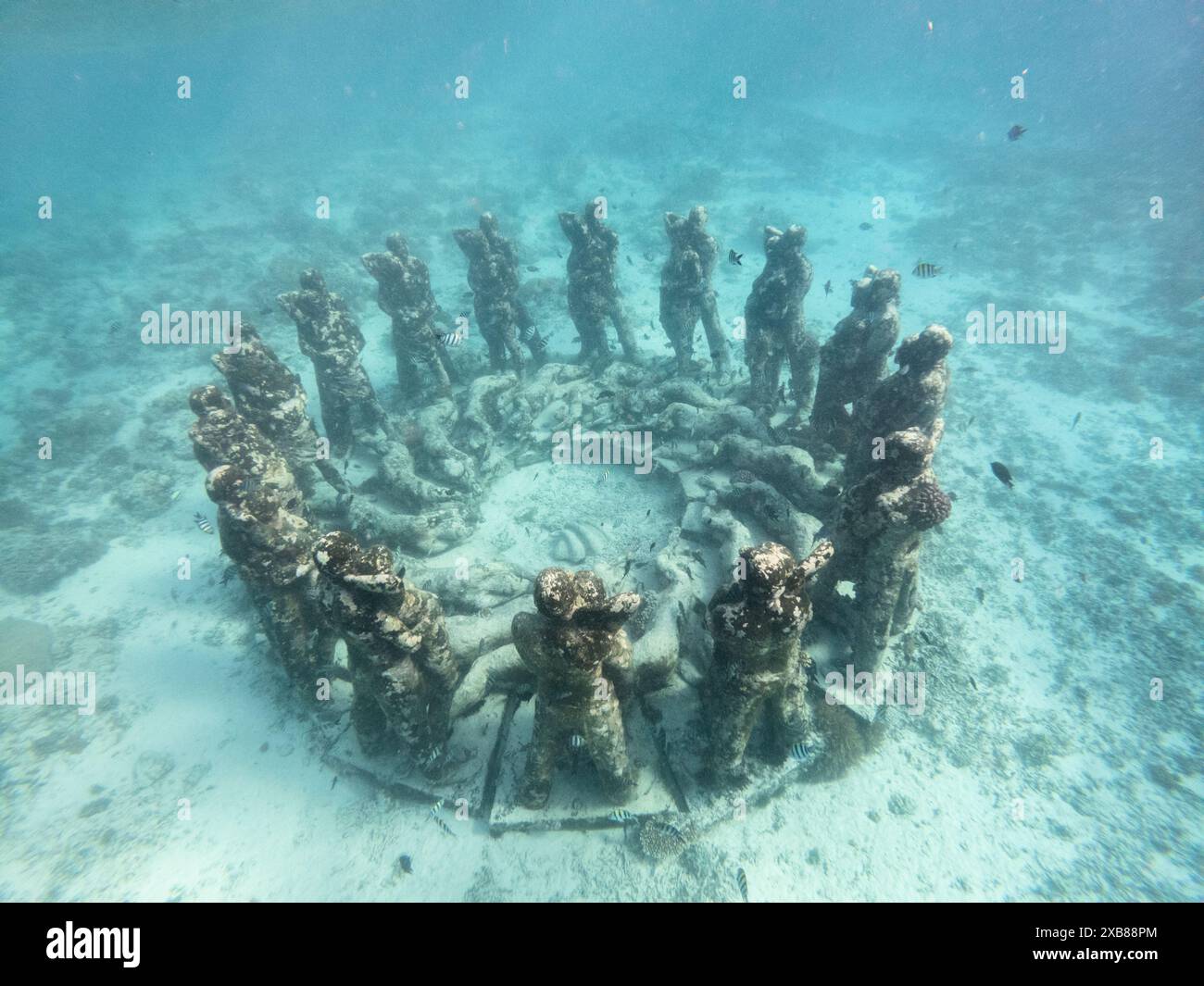 Der kreisförmige Unterwasserbereich zeigt Überreste von Leben Stockfoto