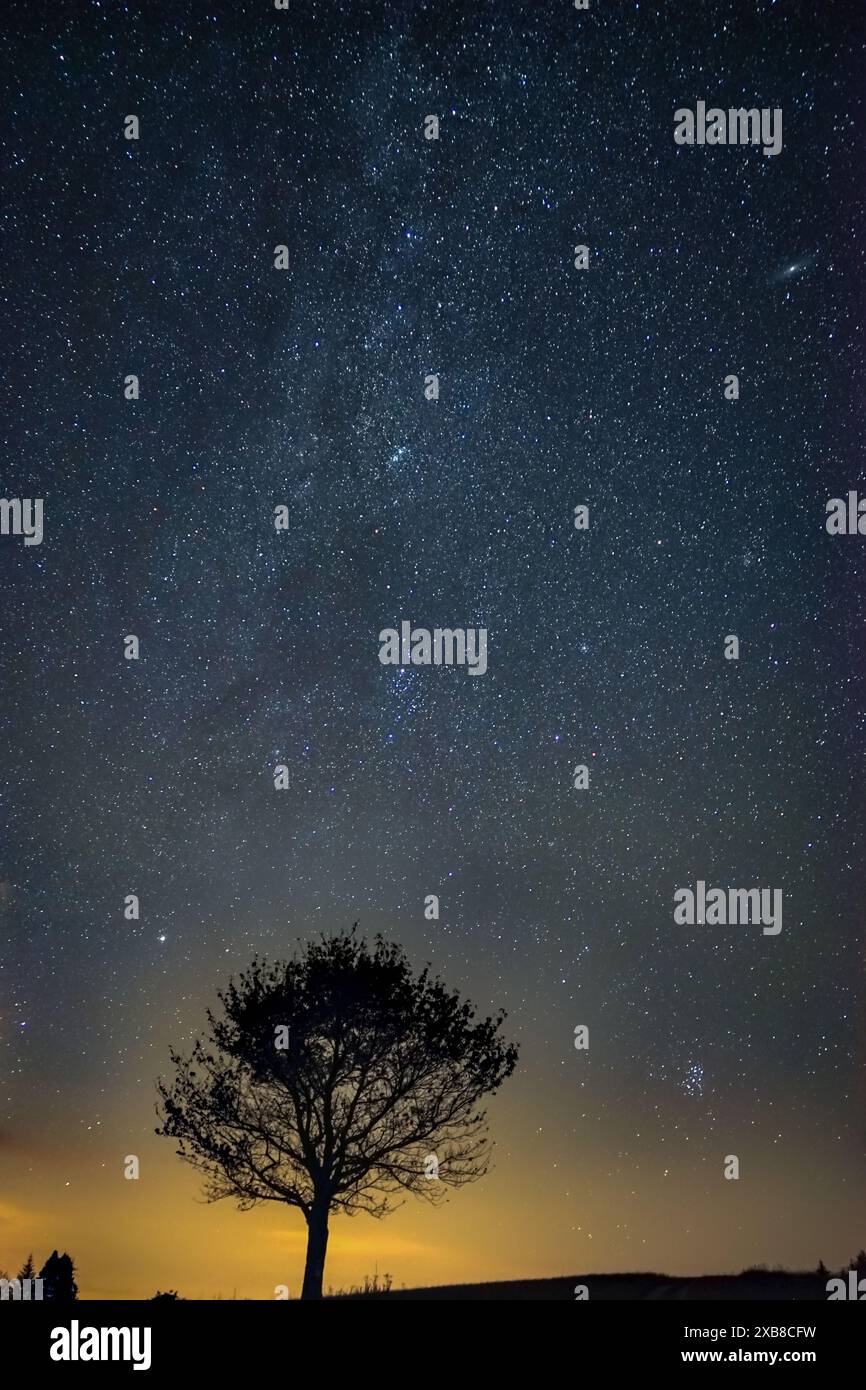 Ein nächtlicher Himmel und weit entfernte Bäume in einer ruhigen Szene Stockfoto