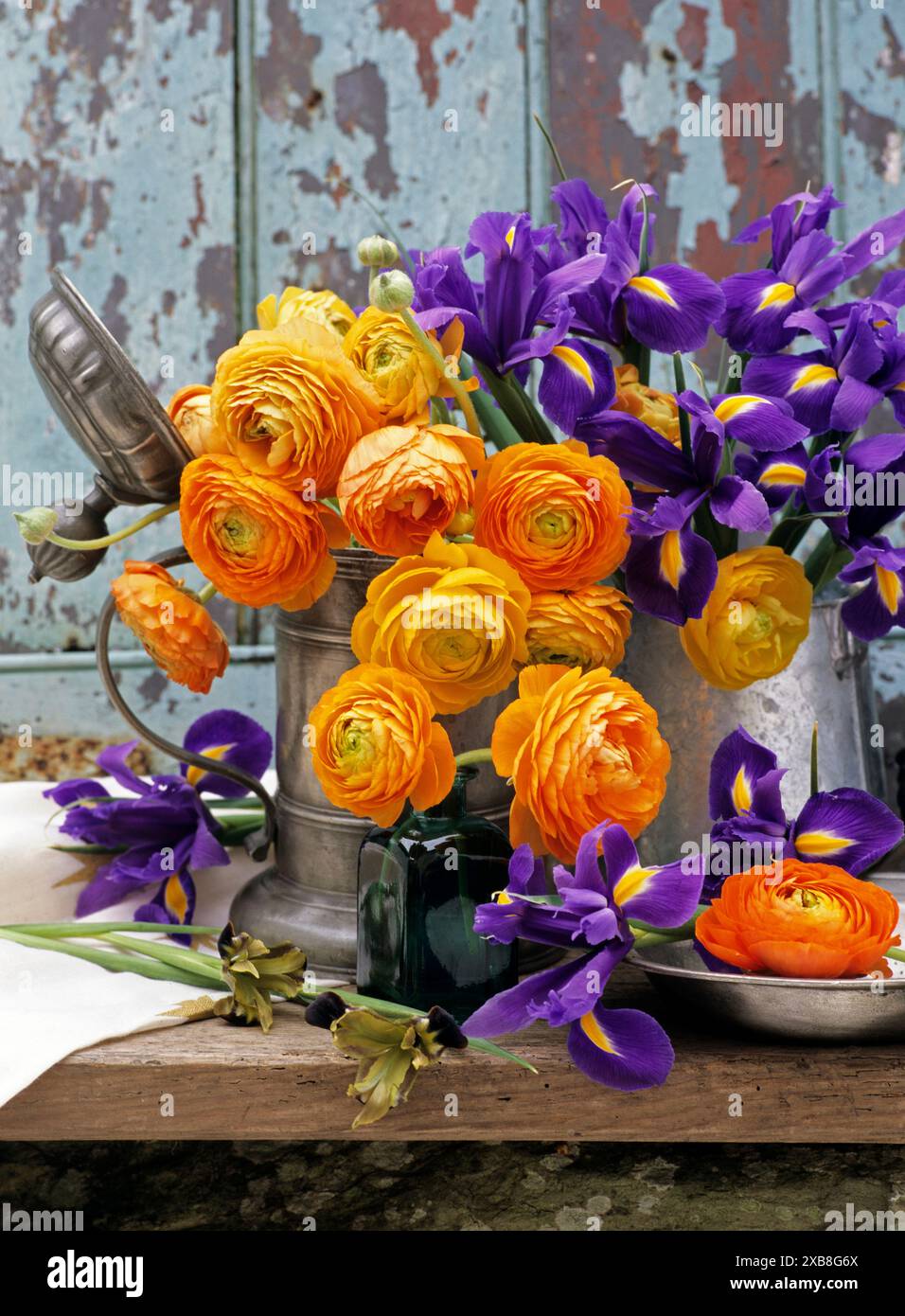 BOTANIK, ADDITIONAL-RIGHTS-CLEARANCE-INFO-NOT-AVAILABLE Stockfoto