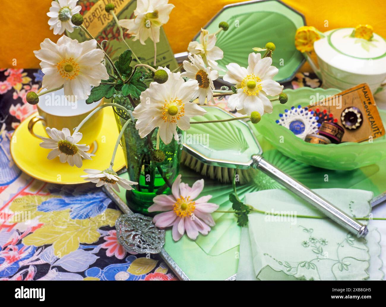 BOTANIK, ADDITIONAL-RIGHTS-CLEARANCE-INFO-NOT-AVAILABLE Stockfoto