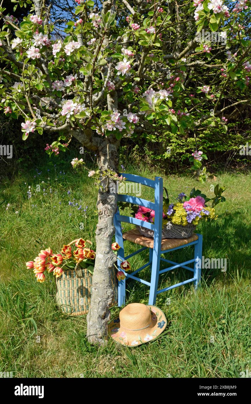 BOTANIK, ADDITIONAL-RIGHTS-CLEARANCE-INFO-NOT-AVAILABLE Stockfoto