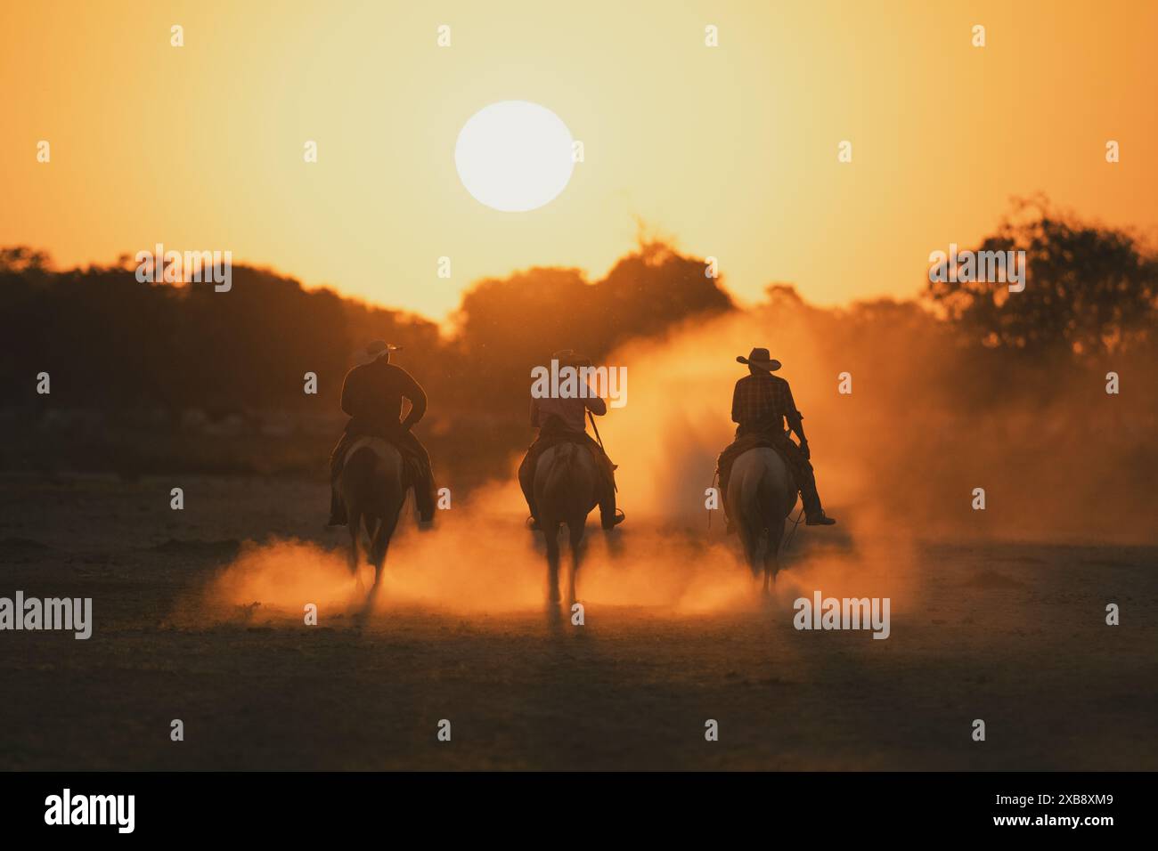 Pantaneiro Cowboys, die nach einem Arbeitstag auf dem Pferderücken bei Sonnenuntergang nach Hause zurückkehren. Pantanal, Brasilien. Stockfoto
