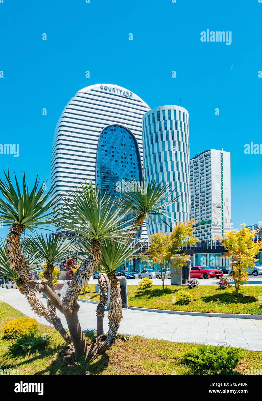 Batumi, Georgia - 4. Juni 2024: Yucca-Palme vor dem Hintergrund moderner Architektur Stockfoto