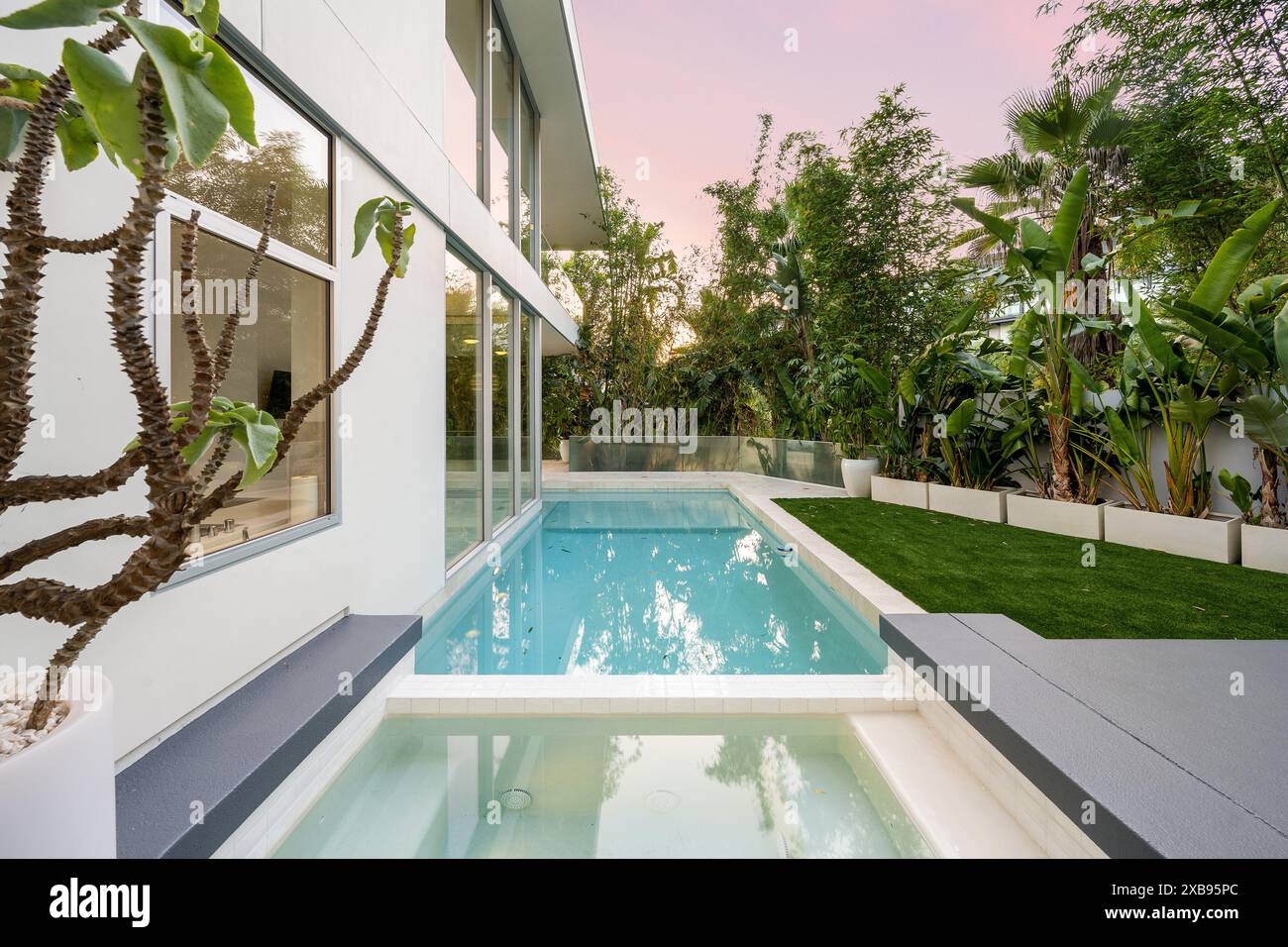 Ein Hinterhof-Pool mit umliegendem Grün und einem Baum Stockfoto