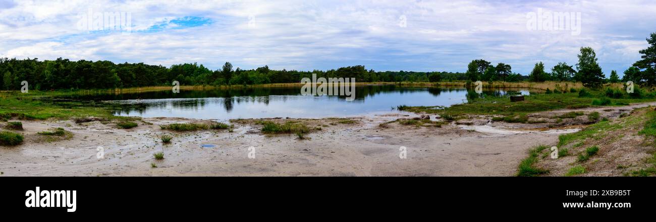 Panoramablick auf einen See, umgeben von grünen Bäumen in Kalmthoutse Heide, Belgien Stockfoto