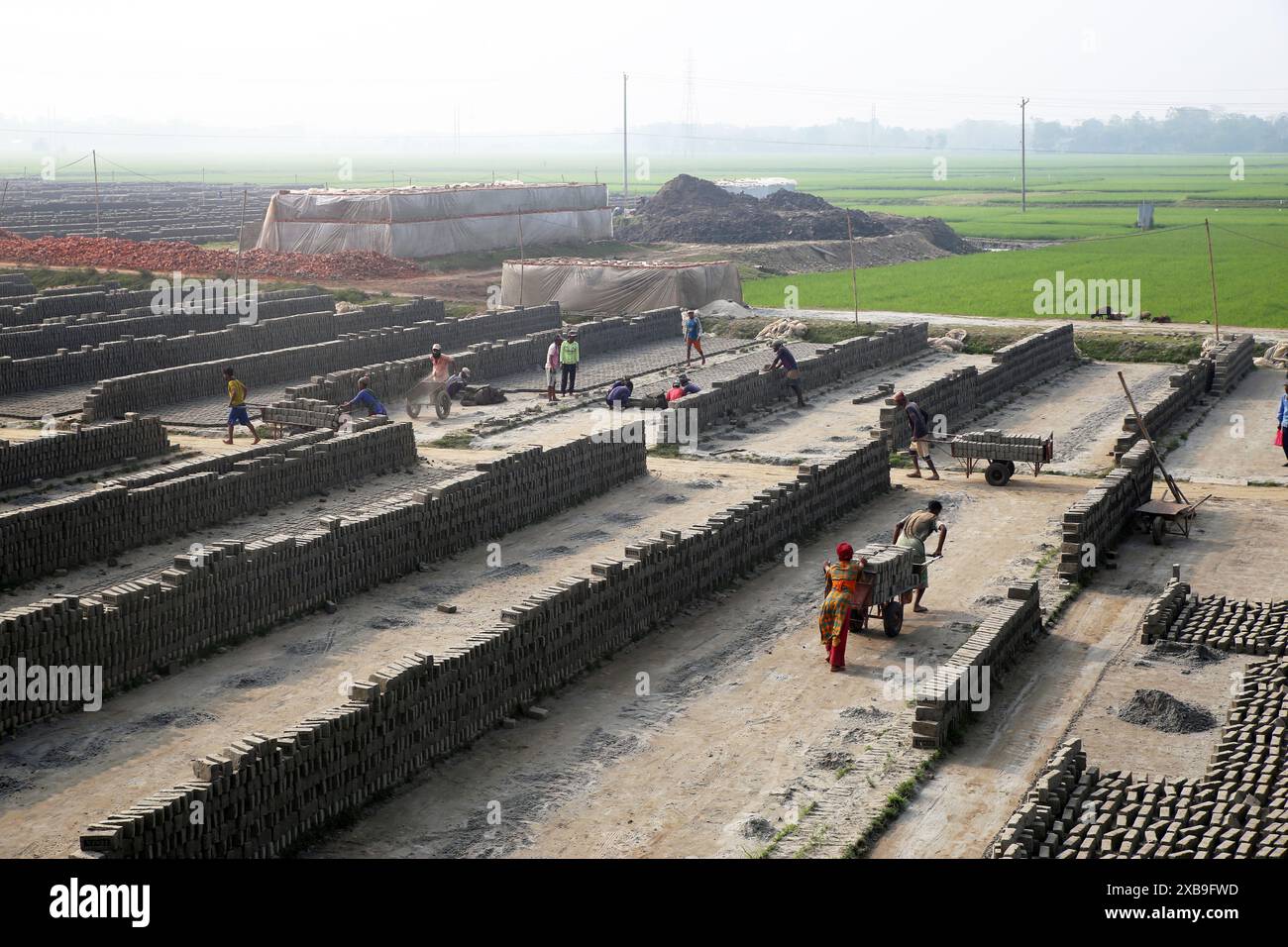 Bodenschlammziegel auf einem offenen Feld werden in der Sonne trocknen lassen, bevor sie in traditionellen Öfen in Bangladesch verbrannt werden Stockfoto