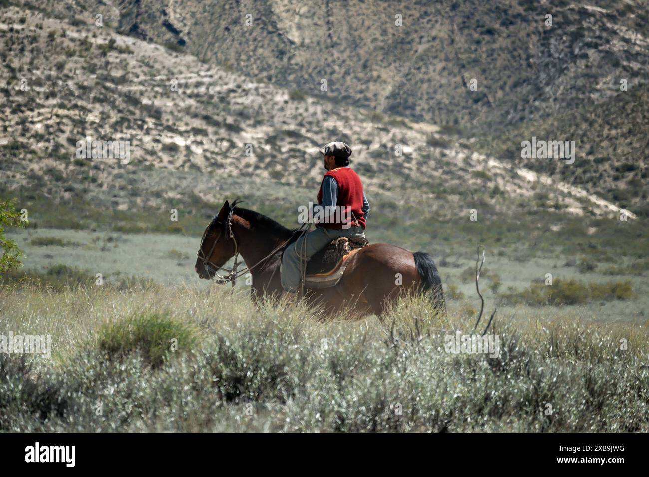 Neuquen, Argentinien, 21. November 2021; argentinischer Gaucho zu Pferd, in patagonien. Stockfoto