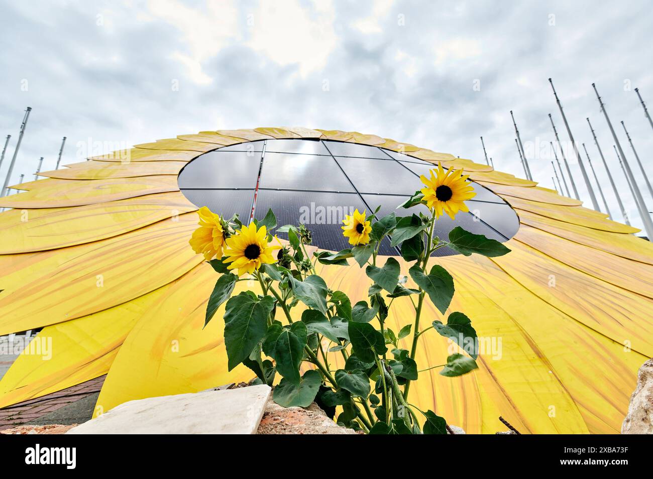 Solarblume - Internationale Wiederaufbaukonferenz in Berlin EUR, Deutschland, Berlin, 11.06.2024: Die Umweltschutzorganisation Greenpeace erinnert trotz andauernder Kämpfe in der Ukraine an eine langfristige Entwicklungsperspektive. Die Ukraine hat ein hohes Potenzial für die Stromerzeugung aus Wind- und Solaranlagen. Internationale EntwicklungshilfeKonferenzteilnehmer aus Politik, Gesellschaft und Wirtschaft diskutiert wie die Infrastruktur der Ukraine wiederhergestellt werden kann. Hunderttausende Menschen sind ohne Strom, die Trinkwasserversorgung, Krankenhäuser und Schulen sind Ziele von Stockfoto