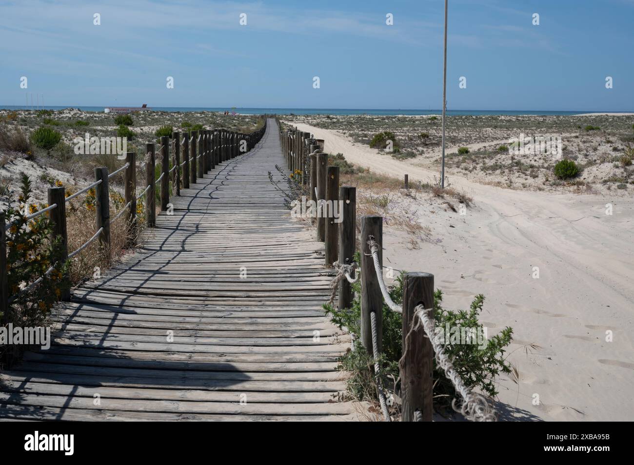 Portugal, Olhao, Algarve Mai 2024. Ilha da Armona. Holzsteg zum Strand. Stockfoto