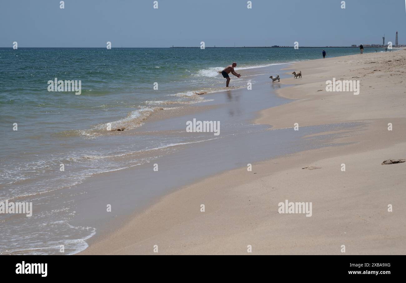Portugal, Olhao, Algarve Mai 2024. Culatra Island. Mann am Strand mit zwei kleinen Hunden. Stockfoto