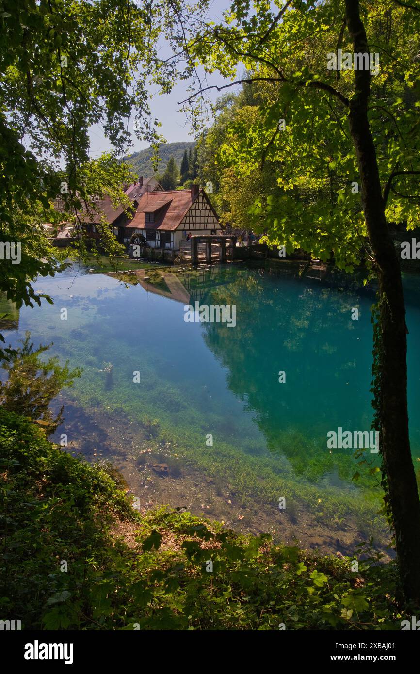 Deutschland, Blaubeuren - 20. August 2023: Der Blautopf ist eine Quelle in Karstlandschaft mit blauem Wasser und einer Hammermühle. Stockfoto