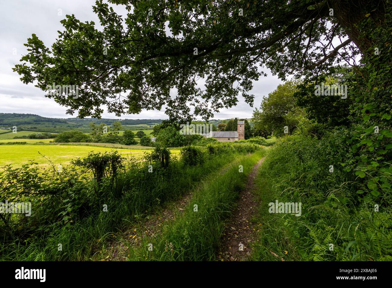 St. Thomas a Beckett Church, Wolvesnewton, Monmouthshire, Wales. UK Stockfoto