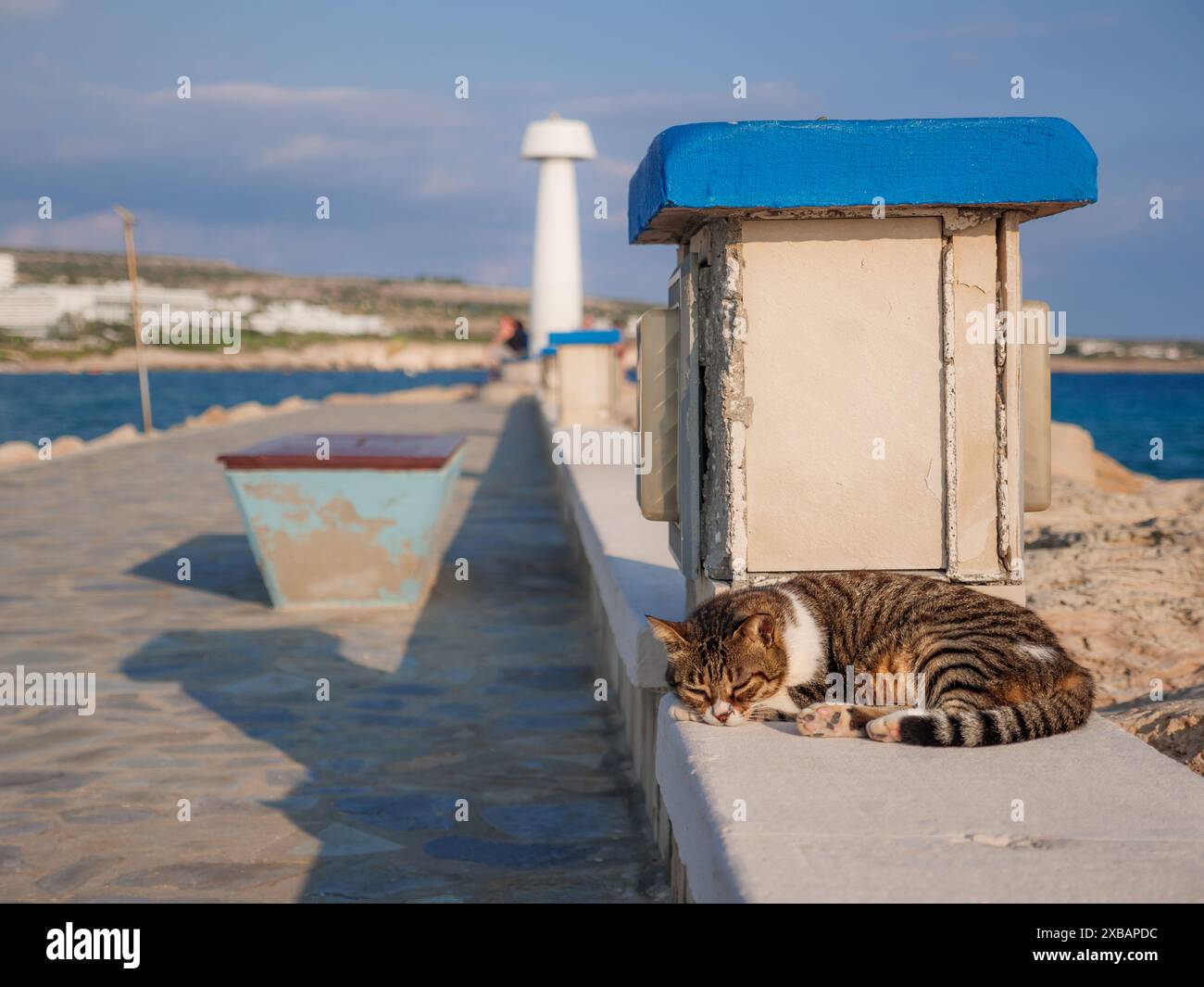 Nicht-Ahnentafel gestromte Katze mit geschlossenen Augen, die sich an der Strandpromenade in Ayia Napa ausruhen und entspannen kann. Leuchtturm und blaues Wasser am Horizont. Stockfoto