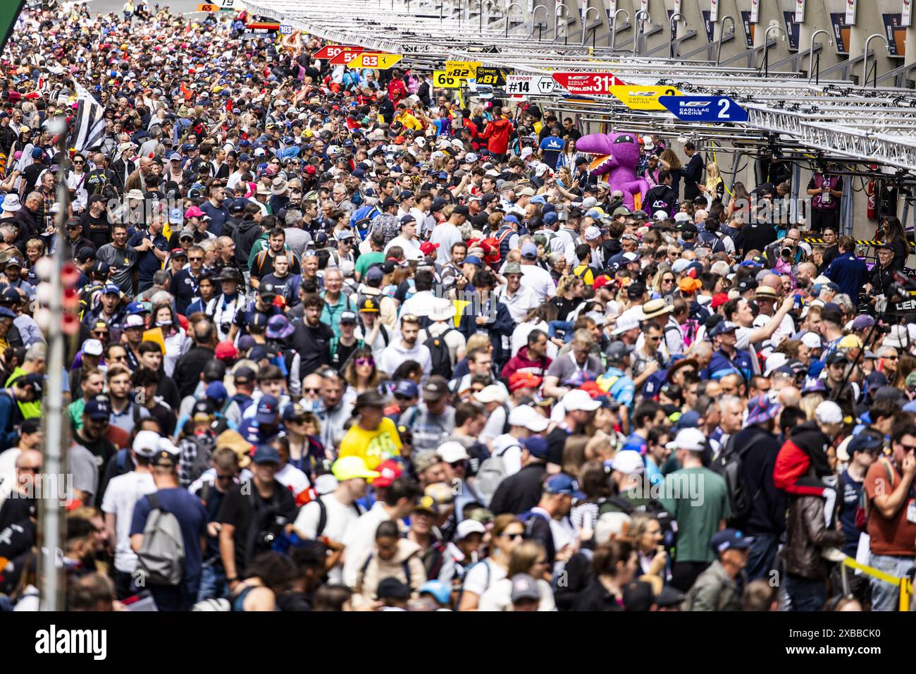 Fans während der 24 Stunden von Le Mans 2024, der 4. Runde der FIA-Langstrecken-Weltmeisterschaft 2024, auf dem Circuit des 24 Heures du Mans, am 11. Juni 2024 in Le Mans, Frankreich Stockfoto