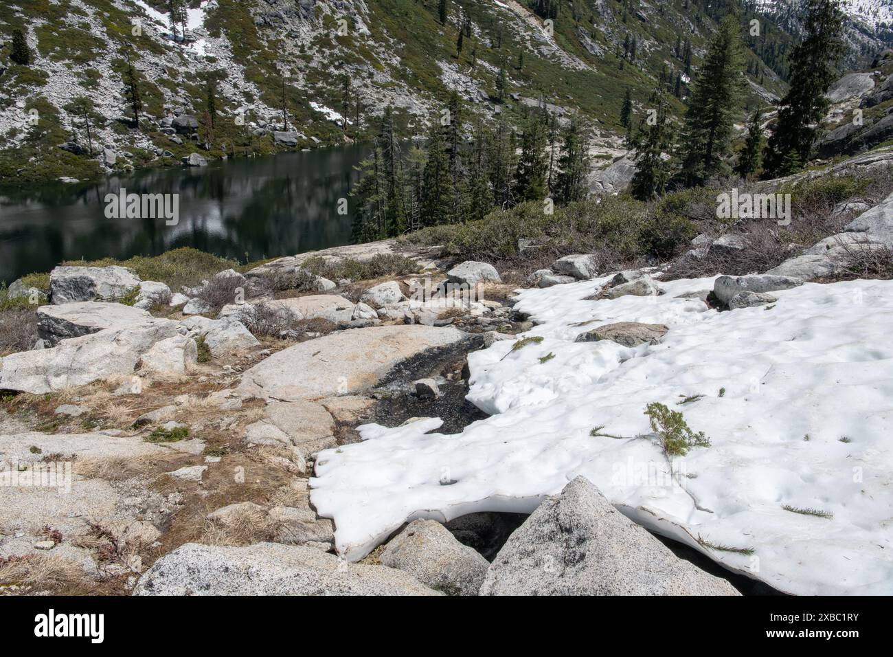 Schneeräumchen auf einem Berghang in den Dreifaltigkeitsalpen. Wasser aus schmelzendem Schnee speist die Hochgebirgsseen in den kalifornischen Bergen. Stockfoto