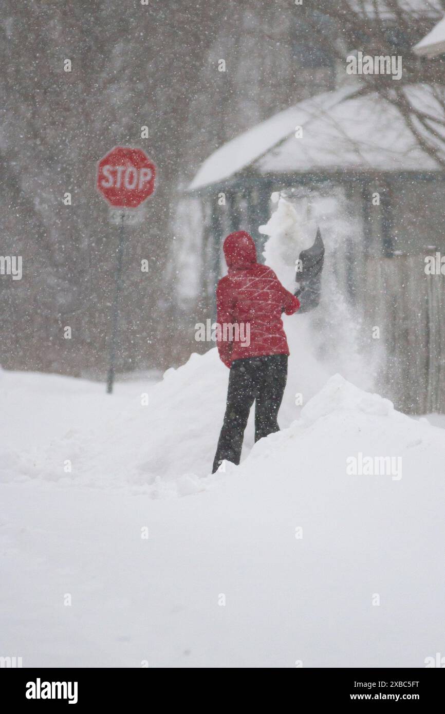 Eine Frau in roter Jacke hält durch einen Schneesturm schaufeln. Obwohl ein bedrohliches „Stop“-Zeichen eine bevorstehende Verletzung als Schneeschaufel vorausahnen lässt Stockfoto