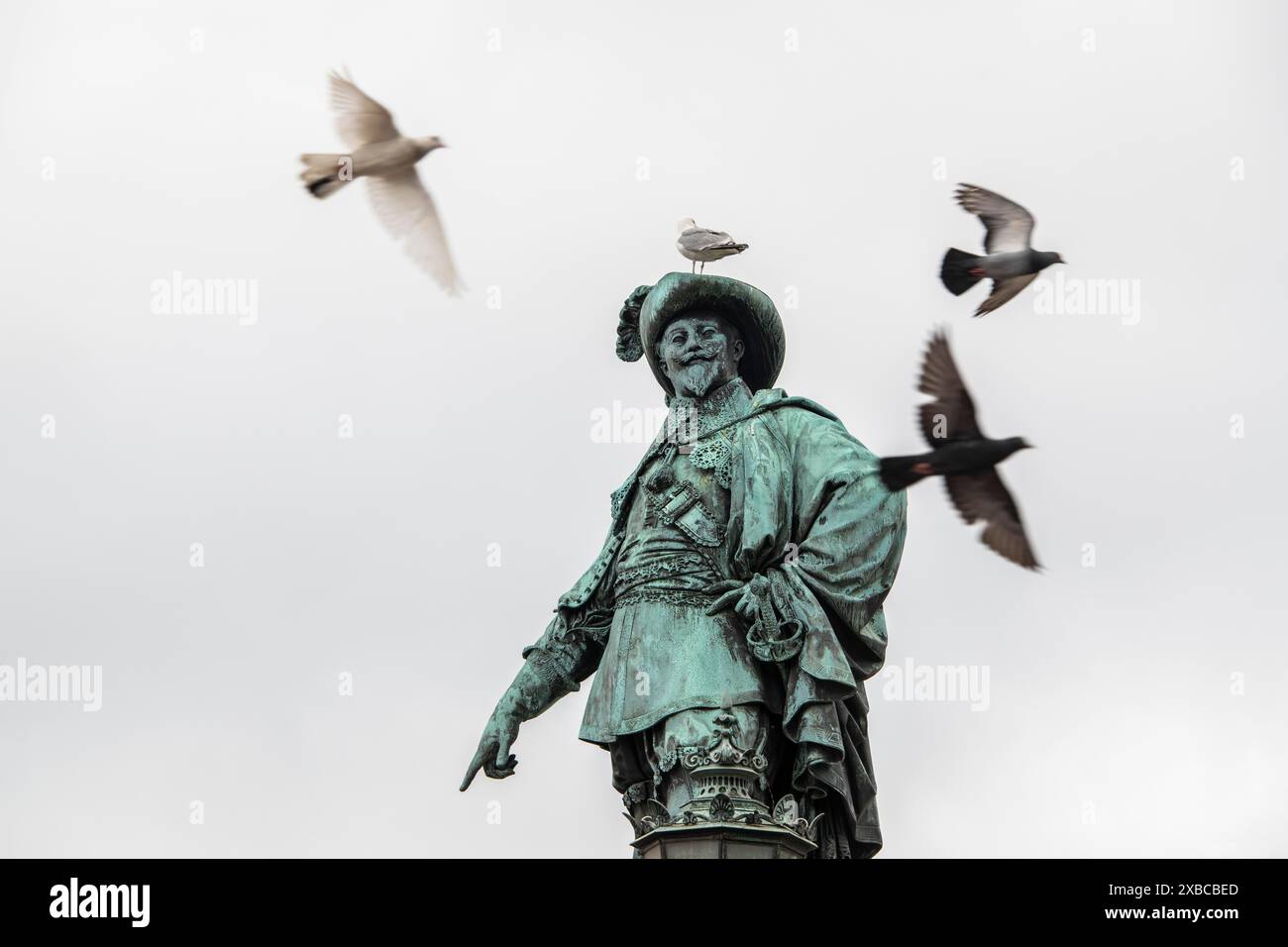 Möwe auf Statue von Gustaf II. Adolf von Bengt Erland Fogelberg, Göteborg, Vaestra Goetalands laen, Schweden Stockfoto