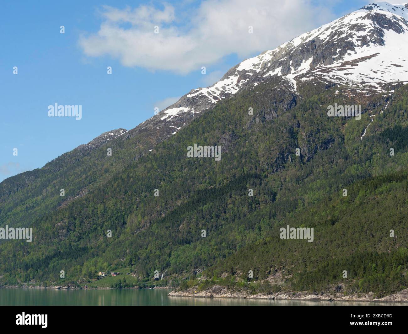 Hohe Berge mit schneebedeckten Gipfeln und dichten Wäldern unter klarem blauen Himmel, Eidfjoerd, Norwegen, Skandinavien Stockfoto