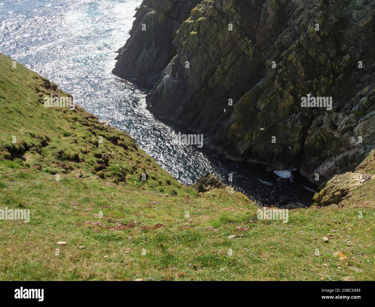 Steile Klippen und das Meer in der Sonne mit Wellen, die gegen die Felsen krachen, lerwick, shetlands, schottland, großbritannien Stockfoto