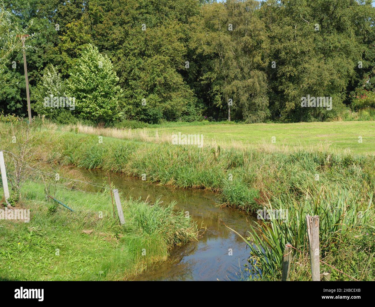 Kleiner Bach fließt durch dicht bewachsene Grünlandschaft, umgeben von Bäumen, Ditzum, rheiderland, Niedersachsen, Deutschland Stockfoto