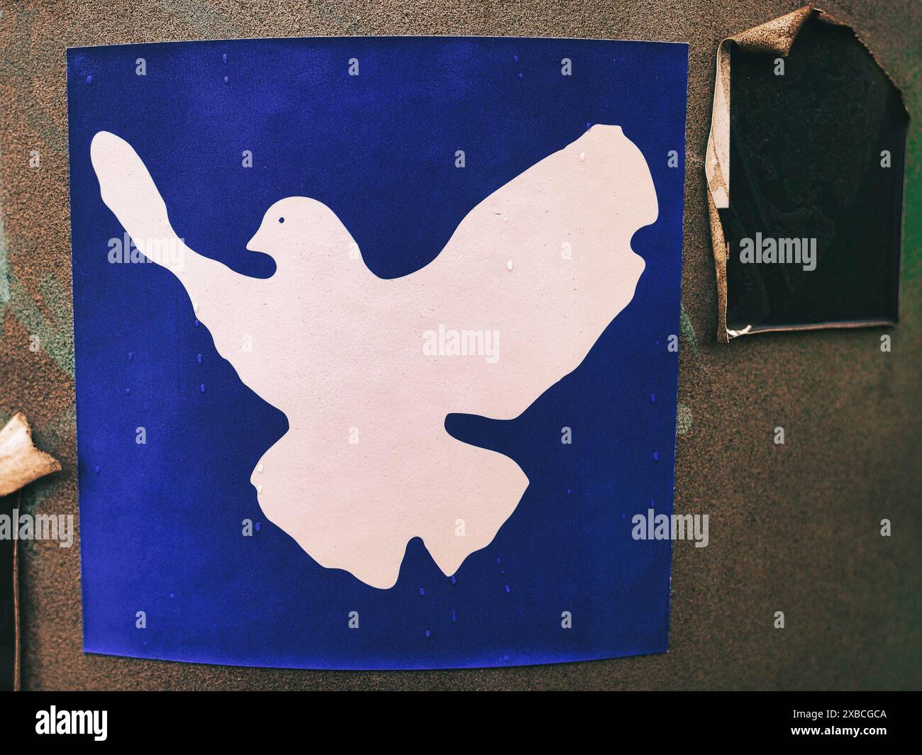 Sticker mit Taube als Symbol des Friedens, Vintage, Bremen, Deutschland Stockfoto