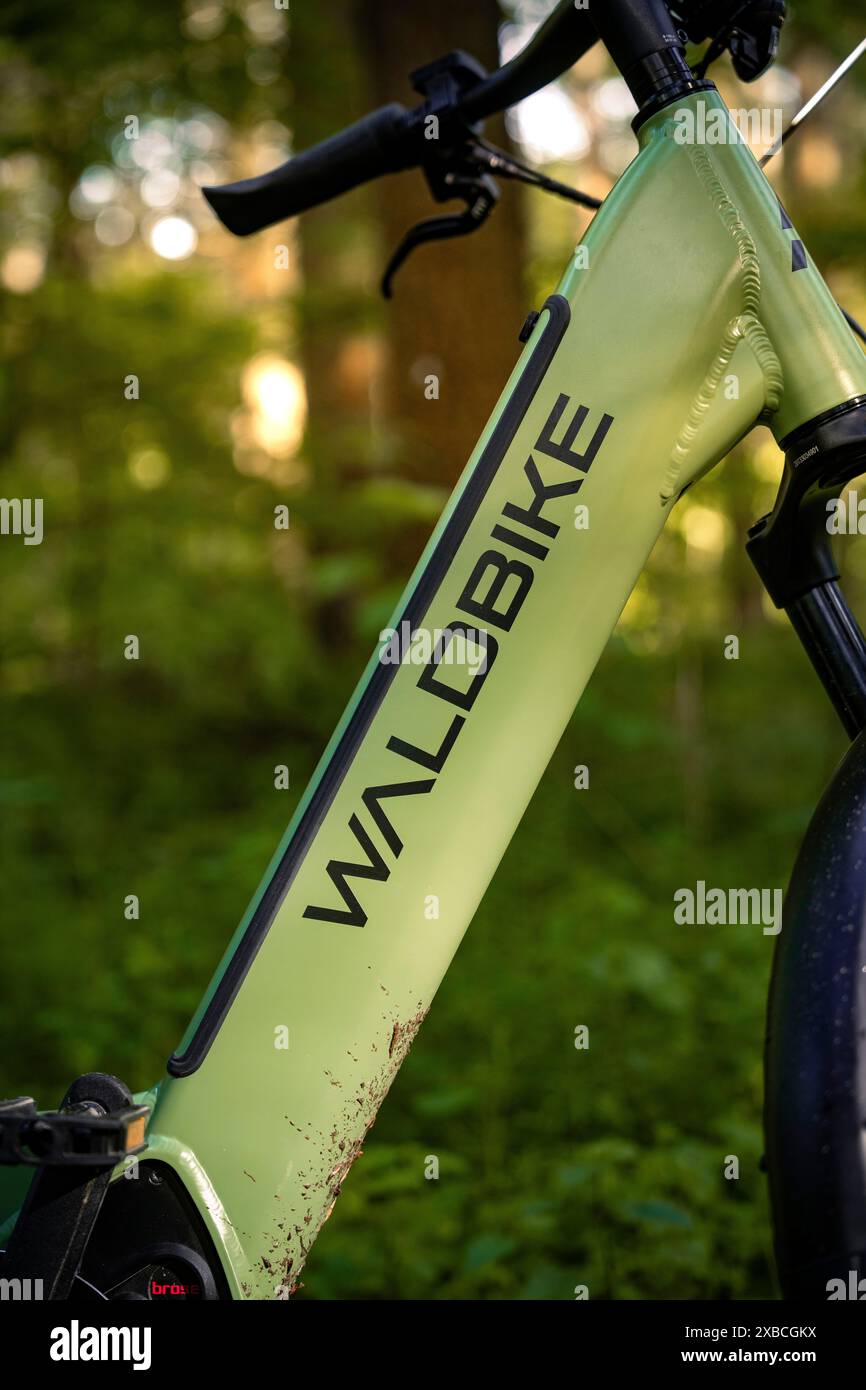 Nahaufnahme eines grünen Fahrradrahmens im Wald in ruhiger Atmosphäre, E-Bike, Schwarzwald, Gechingen, Deutschland Stockfoto