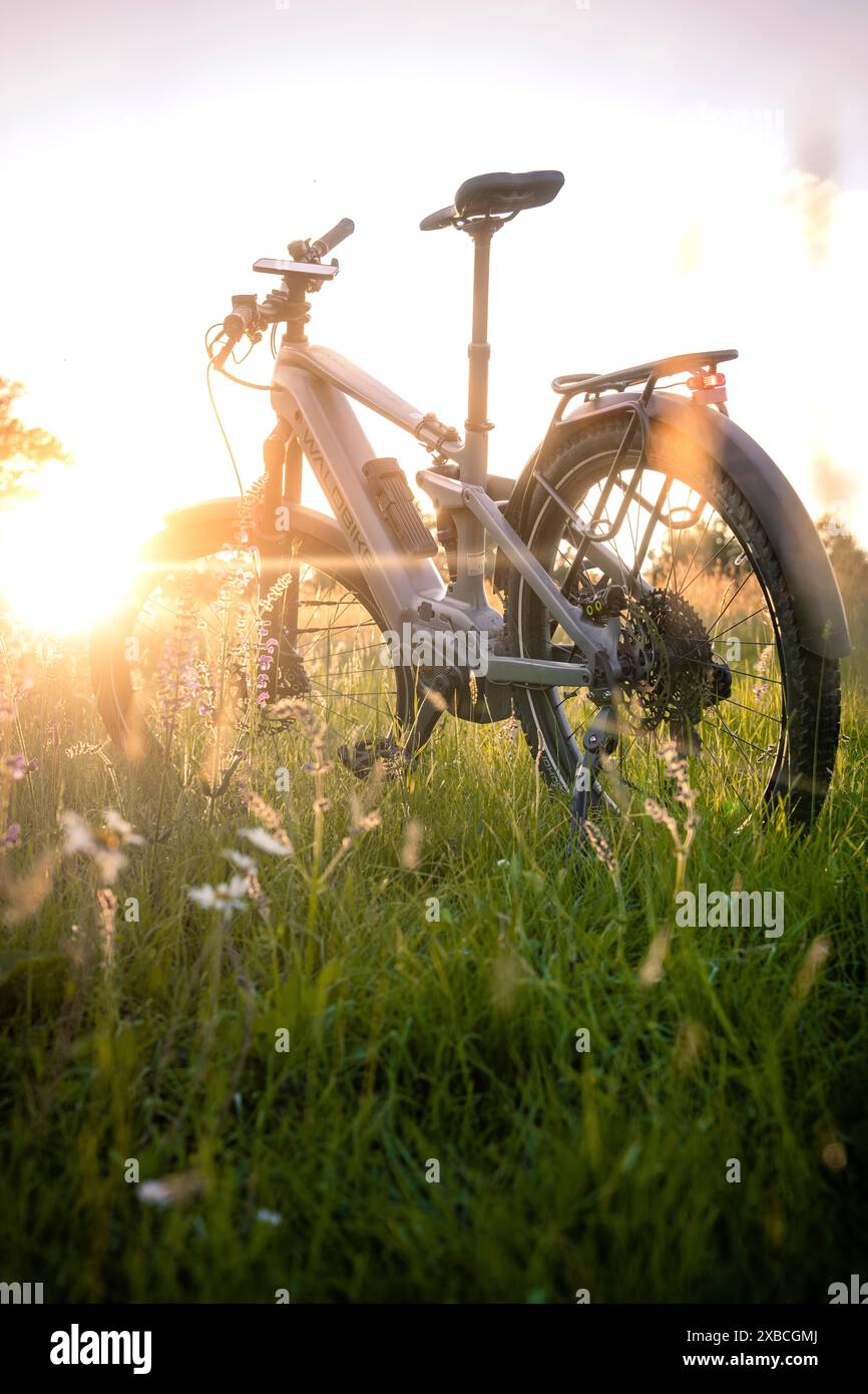 Fahrrad auf einer grünen Wiese bei Sonnenuntergang in ruhiger Atmosphäre, E-Bike, Schwarzwald, Gechingen, Deutschland Stockfoto