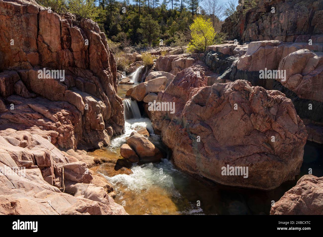 Wundervolle Wasserfälle entlang des herrlichen Water Wheel Falls Wander Trail in der Nähe von Peyson, Arizona (USA). Verführerisch, Erstaunlich, Atemberaubend, Fesselnd, Stockfoto