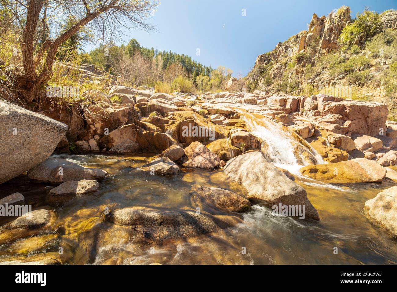 Wundervolle Wasserfälle entlang des herrlichen Water Wheel Falls Wander Trail in der Nähe von Peyson, Arizona (USA). Verführerisch, Erstaunlich, Atemberaubend, Fesselnd, Stockfoto
