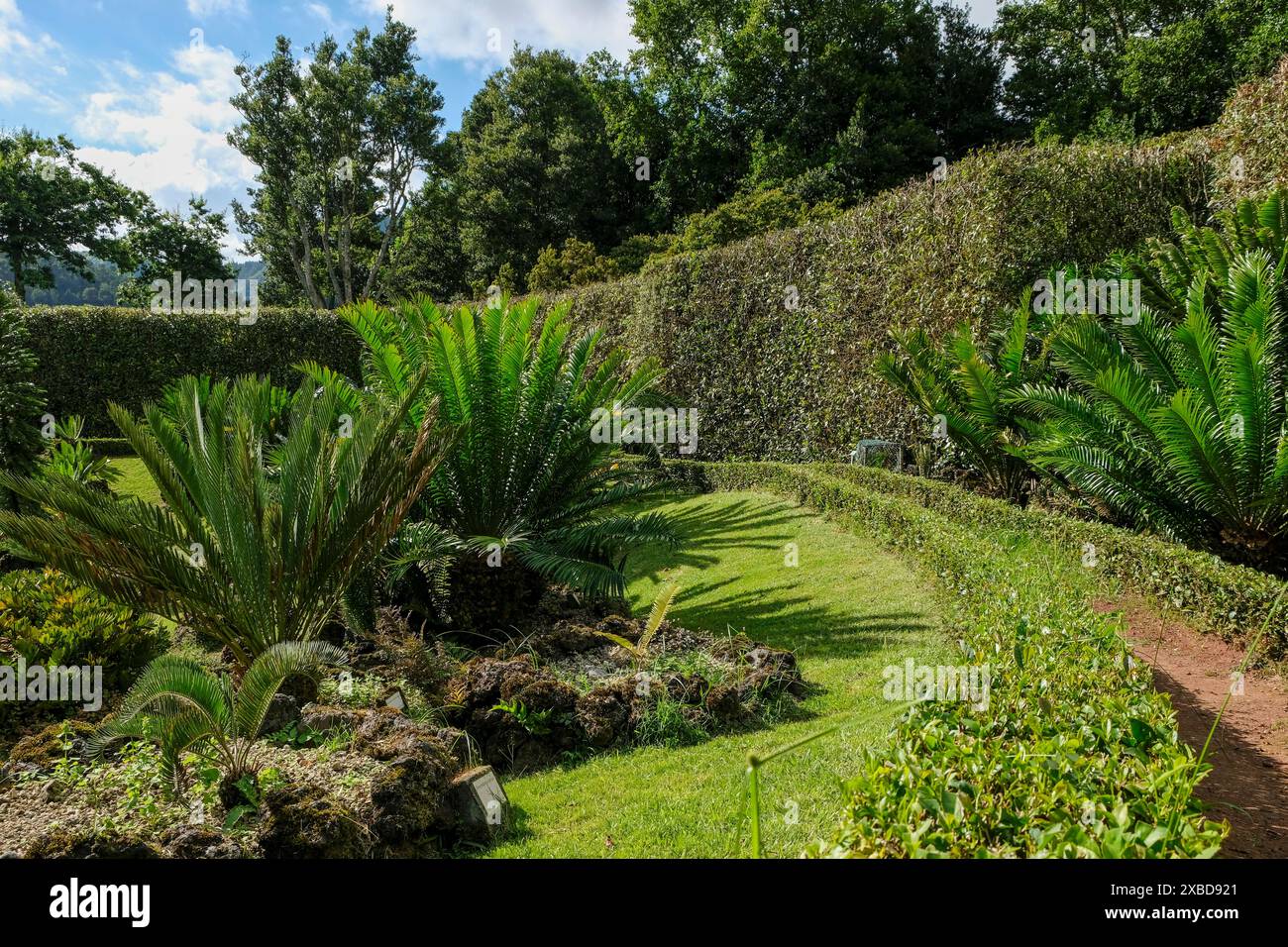 Botanischer Garten Terra Nostra in Furnas, Insel Sao Miguel, Azoren, Portugal Stockfoto