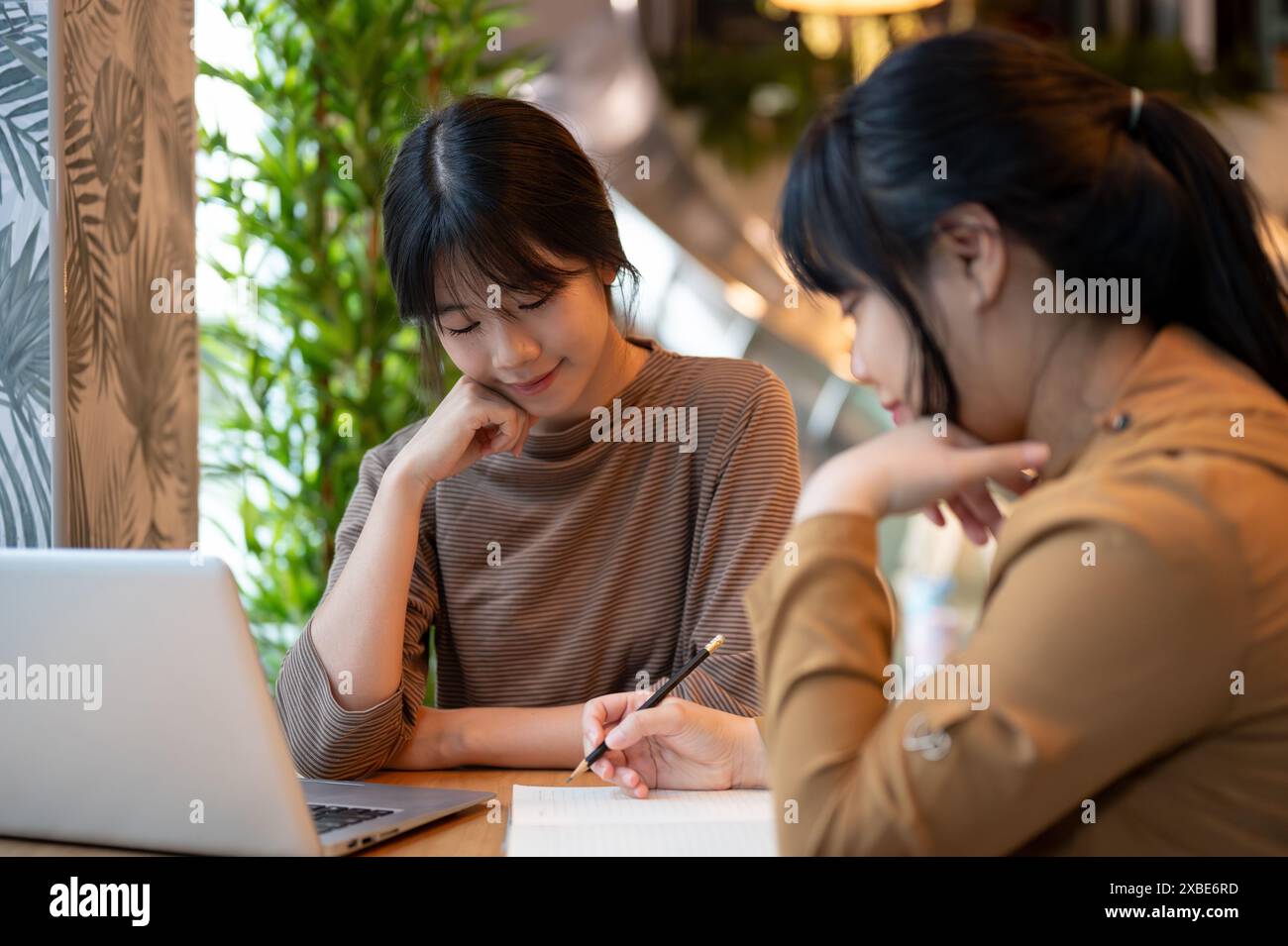 Eine charmante junge asiatische Studentin macht Hausaufgaben oder bereitet sich mit ihrer Freundin in einem Café auf die Prüfung vor. Buch lesen, Nachhilfe, Co-Working Stockfoto