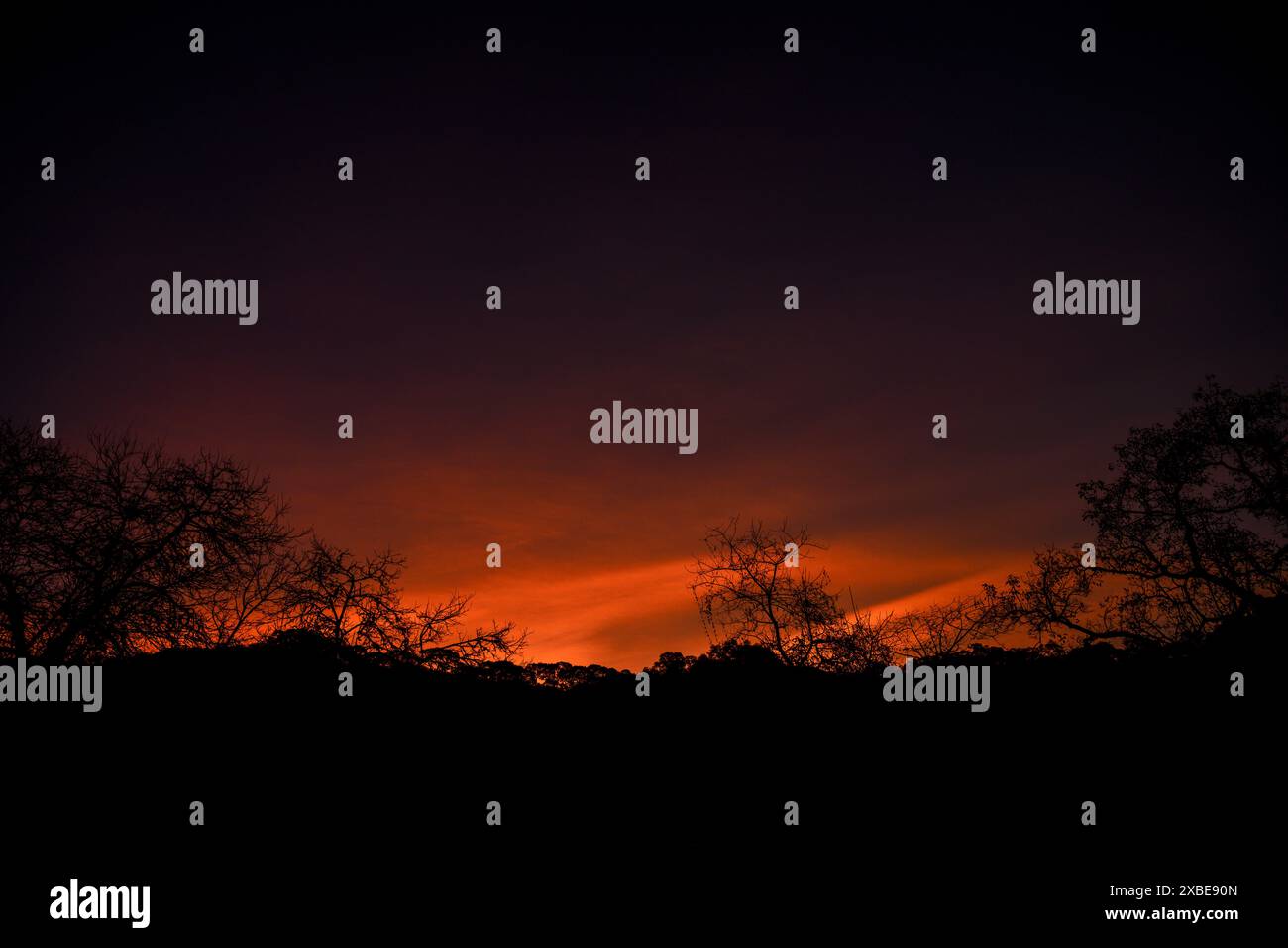 Orangefarbener Sonnenuntergang in den Bergen mit Silhouetten von Bäumen im Hintergrund Stockfoto