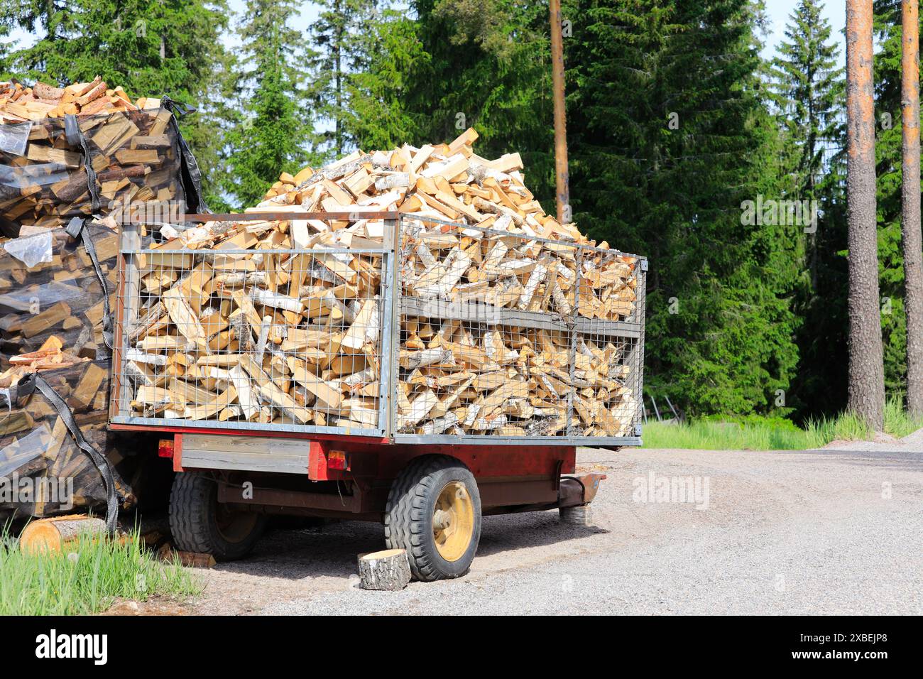 Ein Anhänger voller gemähter und gespaltener Birkenfeuerholz am Waldrand an einem sonnigen Sommertag. Stockfoto