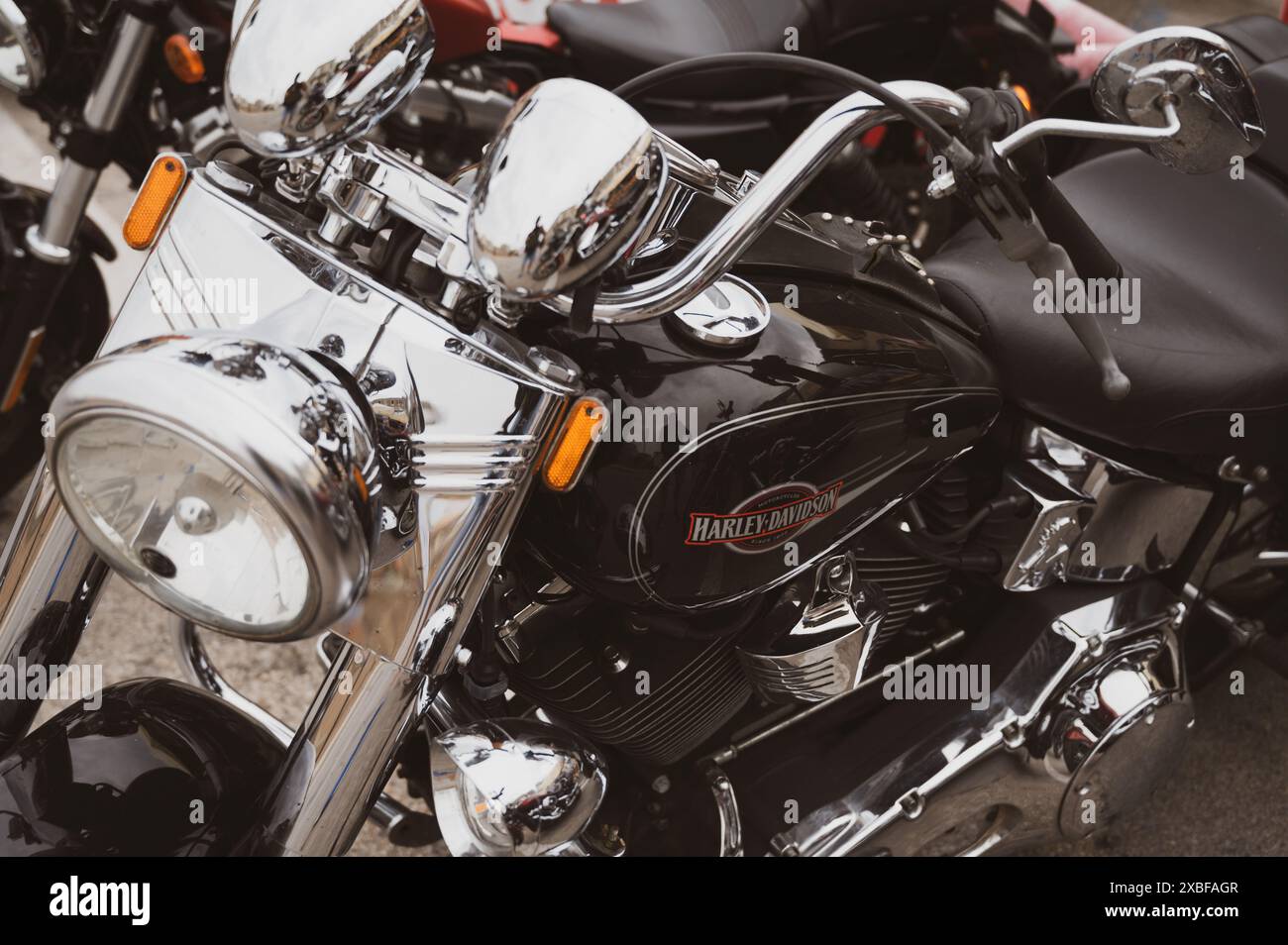 Italien, 09. Juni 2024: Motorräder der legendären Marke Harley Davidson auf der EUROPÄISCHEN H.O.G.-RALLYE der Senigallia Ancona Marche Stockfoto