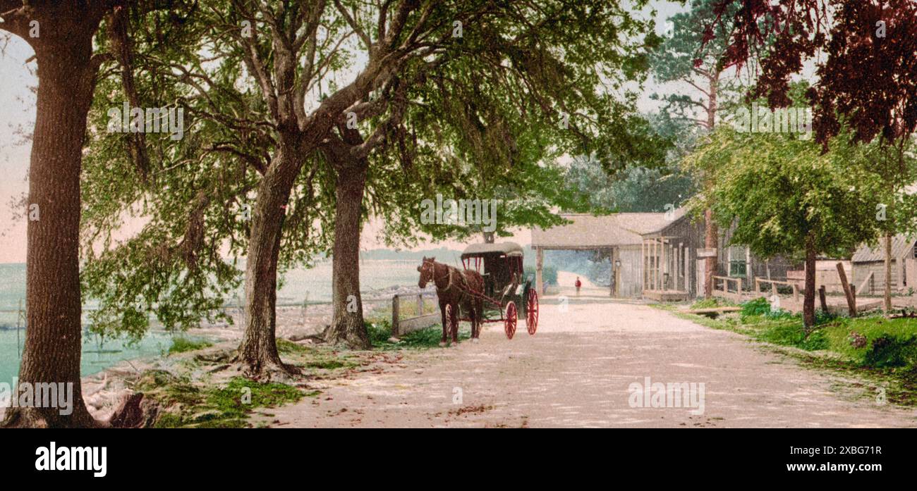 Bay Shell Road, Mobile, Mobile County, Alabama 1901. Stockfoto