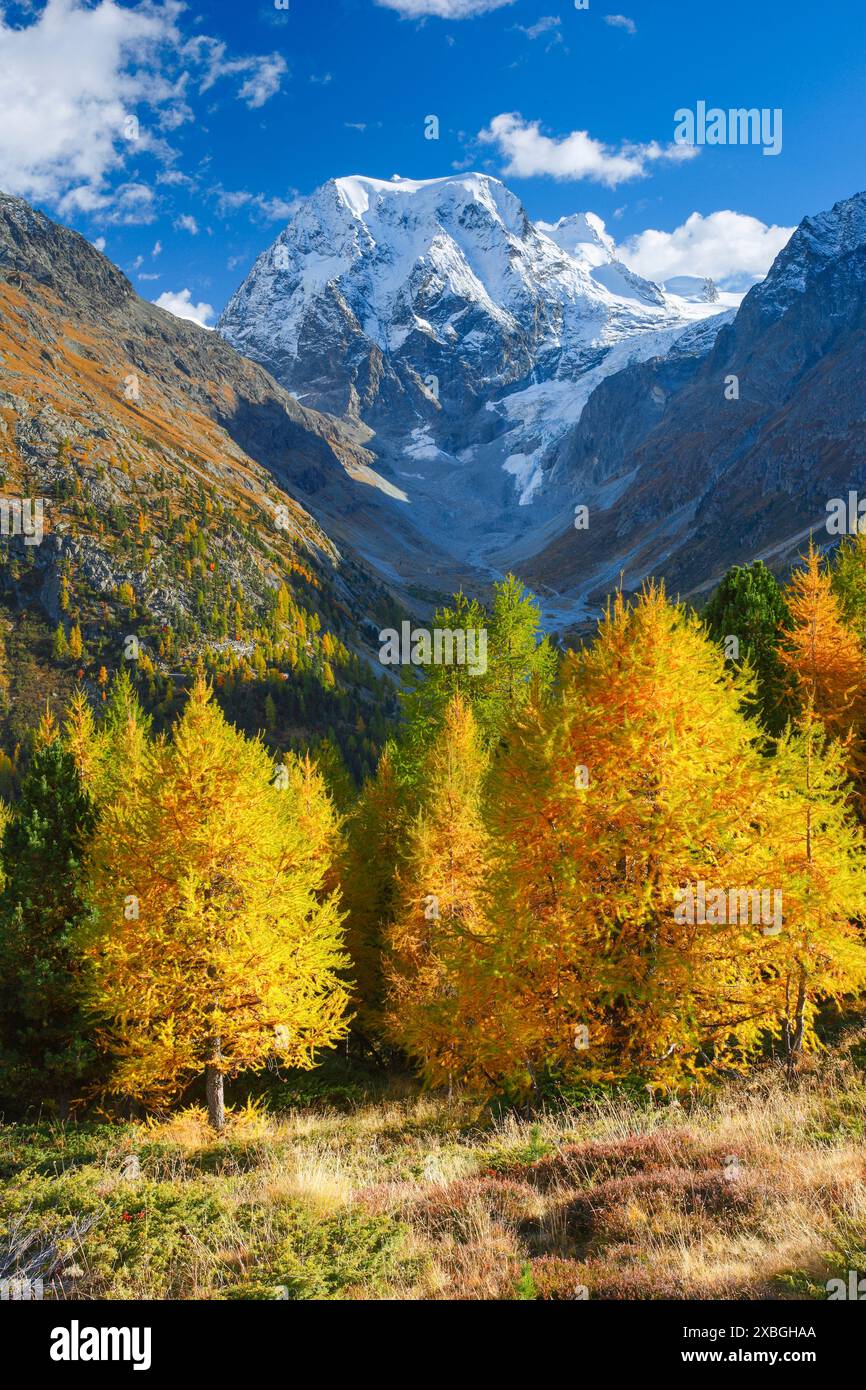 Geografie / Reisen, Schweiz, Mt. Collon, Arollatal (Arolla Valley), NICHT-EXKLUSIV-FÜR FALTKARTEN-GRUSSKARTEN-POSTKARTEN-NUTZUNG Stockfoto