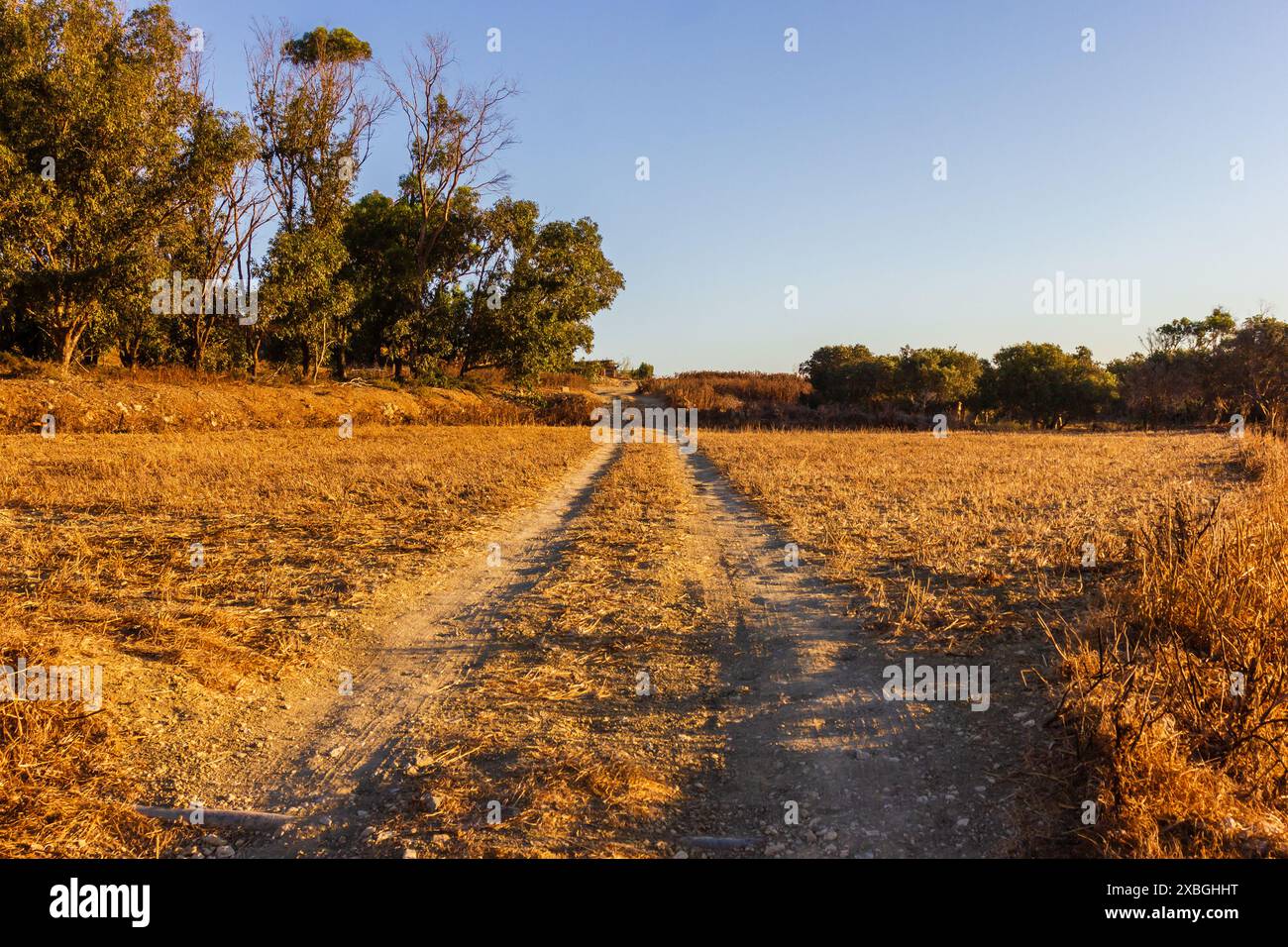 Herbstlandschaft auf dem Land Stockfoto