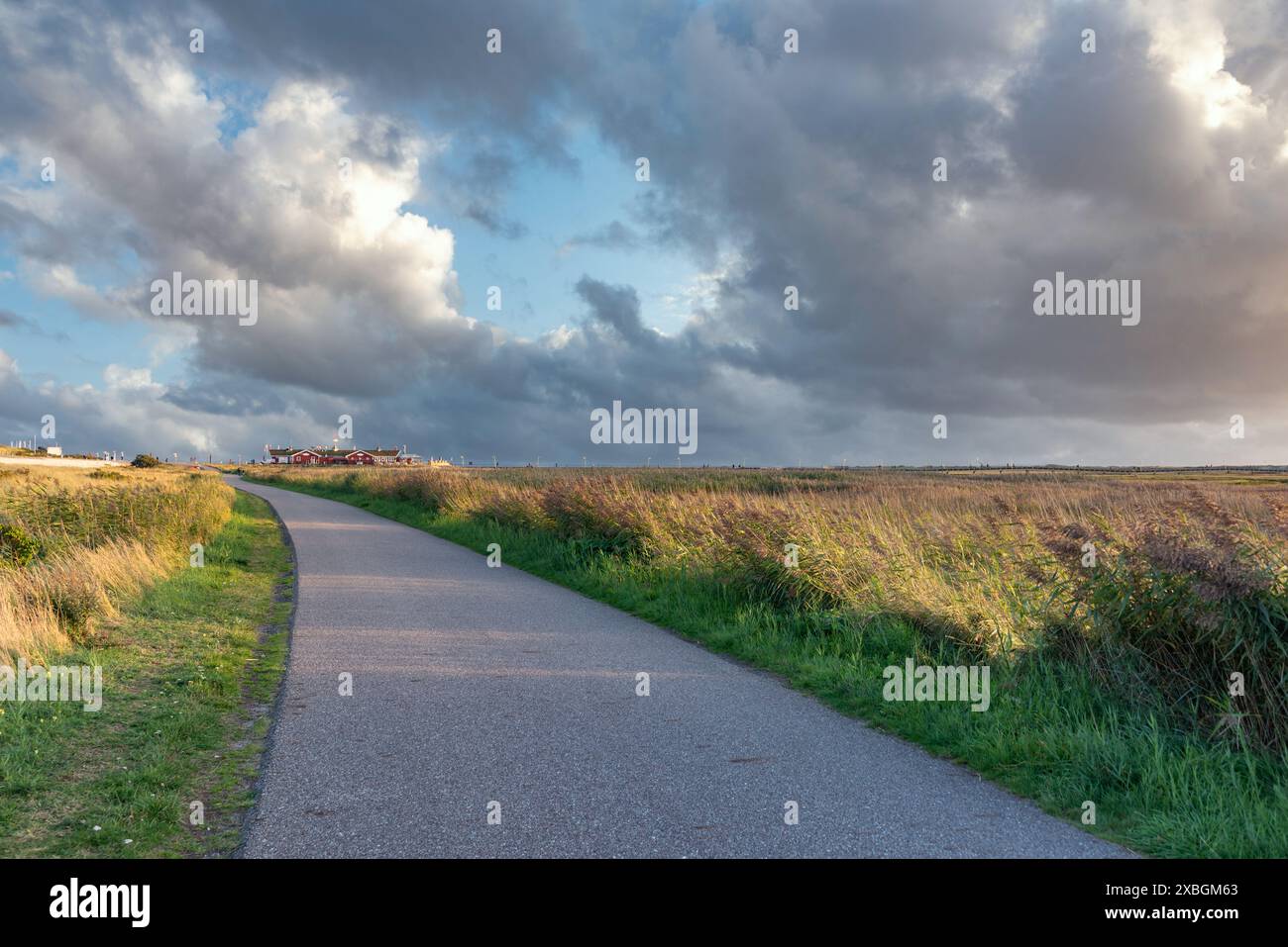 Geographie / Reise, Deutschland, Schleswig-Holstein, Wanderweg und Radweg durch die Salzwiesen, ADDITIONAL-RIGHTS-CLEARANCE-INFO-NOT-AVAILABLE Stockfoto