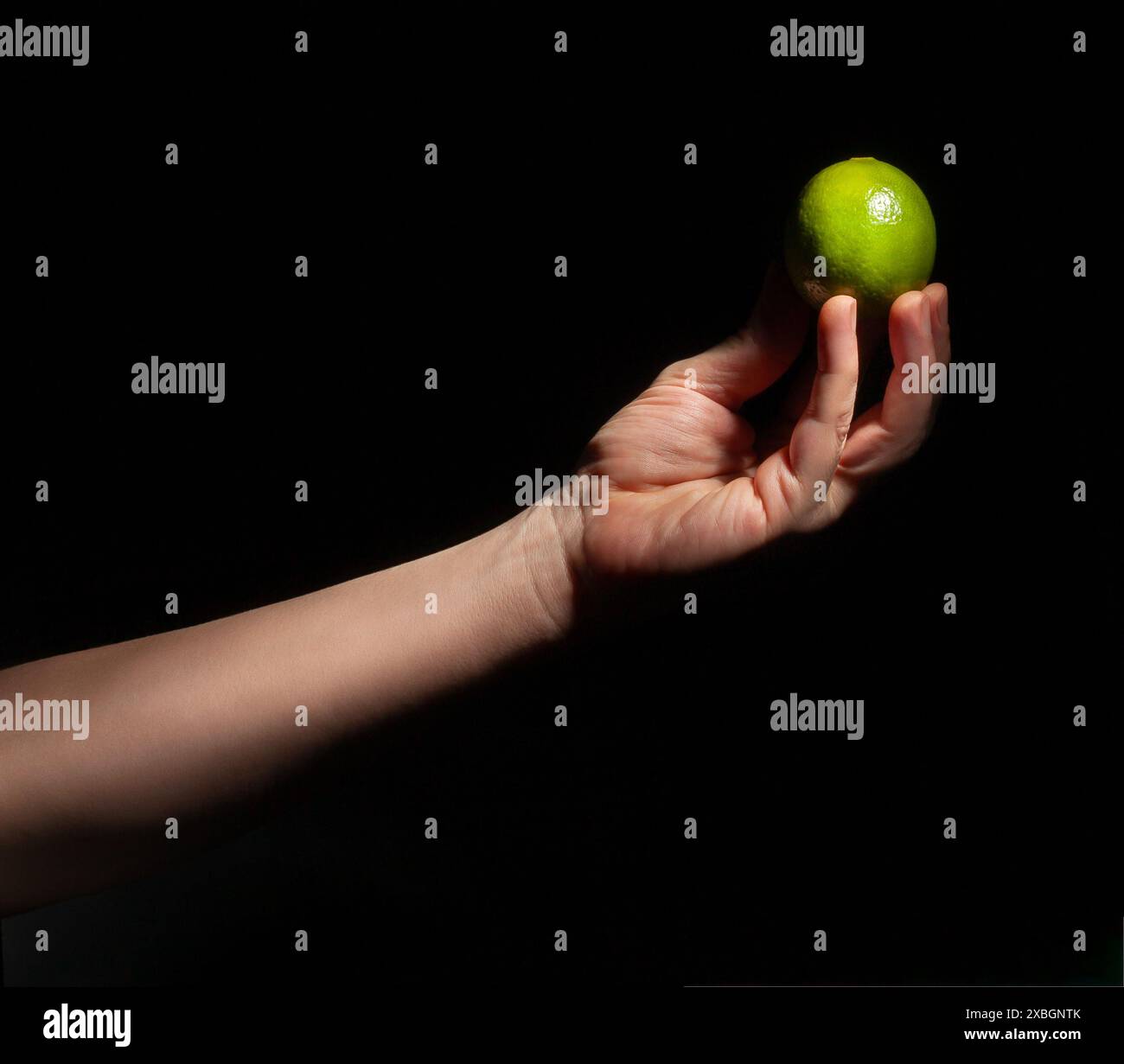 Limette in der Hand auf schwarzem Hintergrund Stockfoto