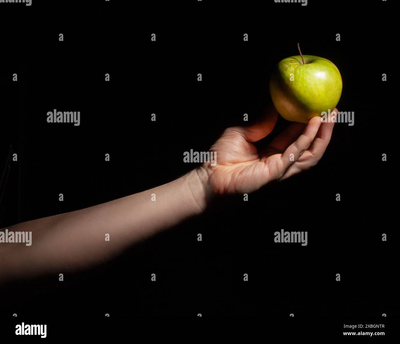 Grüner Apfel in der Hand auf schwarzem Hintergrund Stockfoto