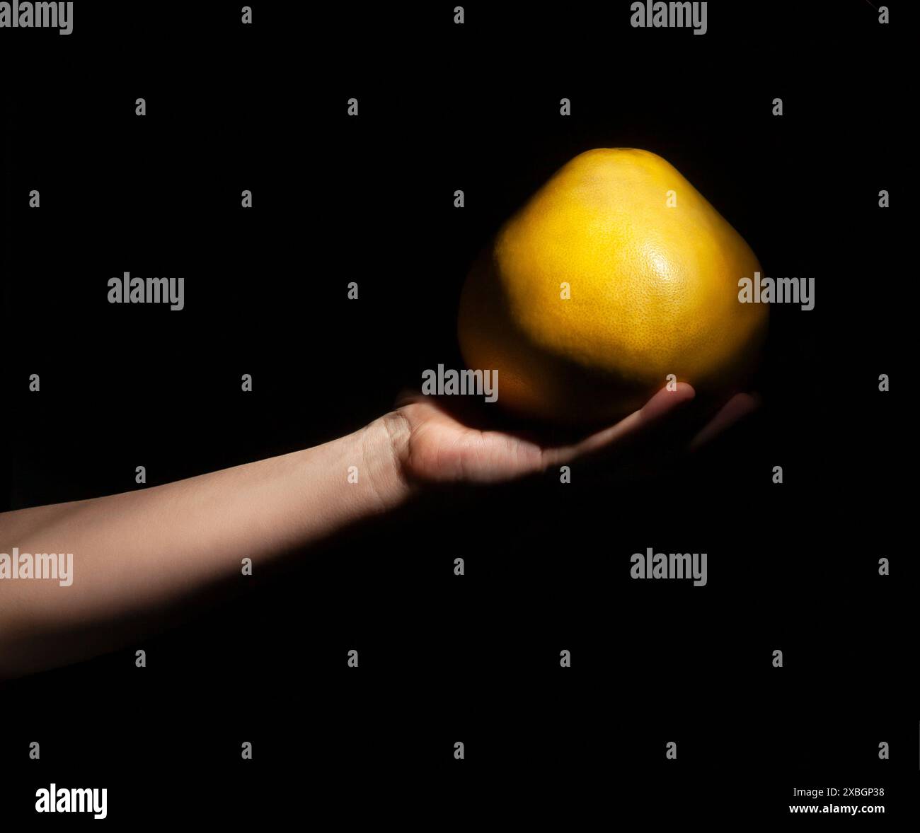 pomelo in der Hand auf schwarzem Hintergrund Stockfoto