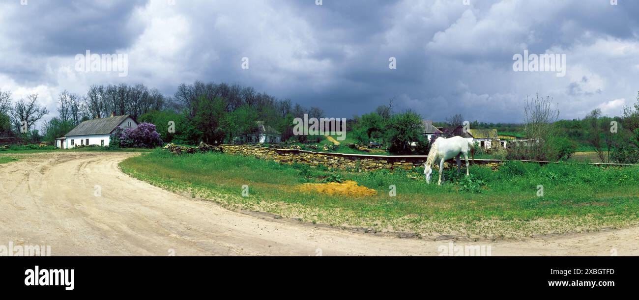 Blick auf das Dorf Malaya Aleksandrovka. Region Cherson, Ukraine Stockfoto