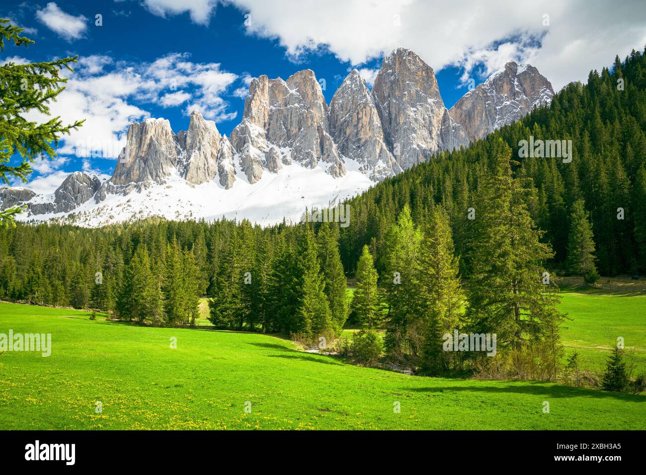 Herrlicher Blick auf Furchetta und SAS Rigais Bergmassiv von Zastlerhuette, Val di Funes, Dolomiten, Italien, mit Weiden und einem von Bäumen gesäumten Bach Stockfoto