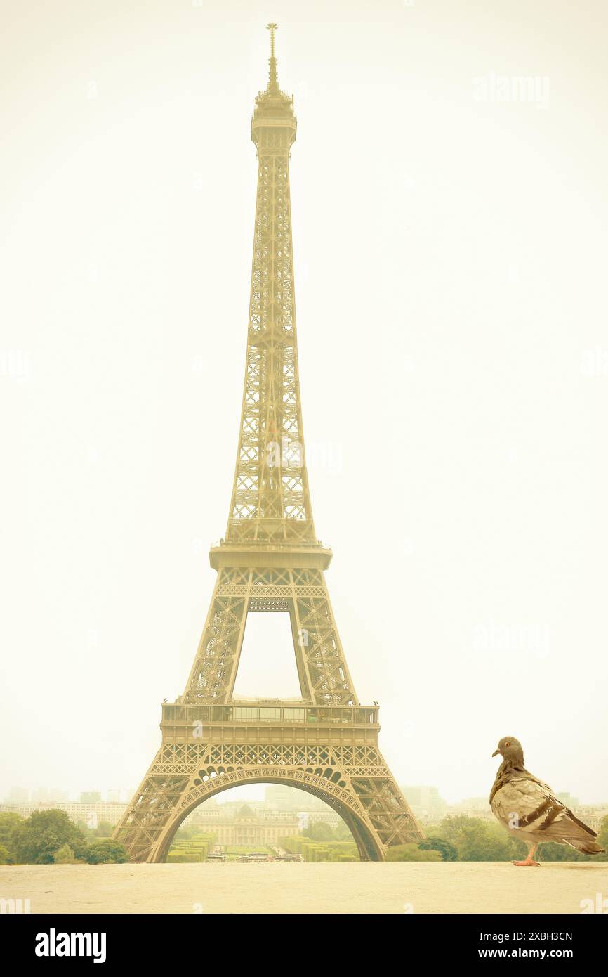 Eiffelturm, Paris, Frankreich Stockfoto